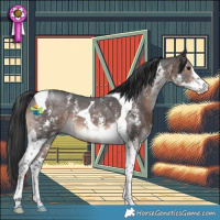 Horse Color:Brown Sabino Tobiano