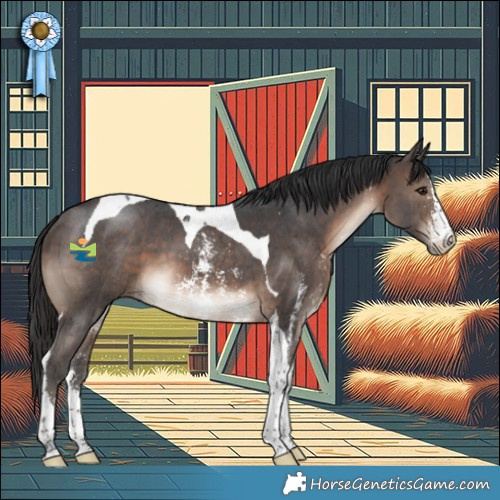 Horse Color:Brown Sabino Tobiano 