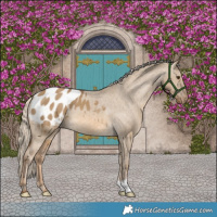 Horse Color:Chocolate Palomino Dun Varnish Brindle 