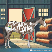Horse Color:Liver Red Dun Blanket Brindle 
