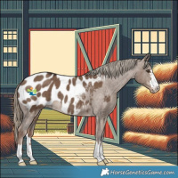 Horse Color:Liver Red Dun Appaloosa Brindle 