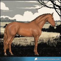 Horse Color:Chestnut 