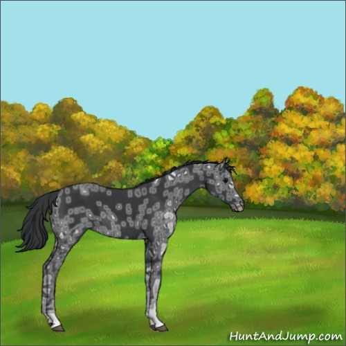 Horse Color:Black Ice 