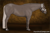 Horse Color:Silver Black 