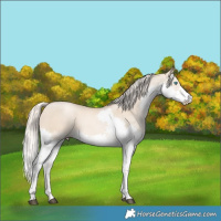 Horse Color:White Spotted Chocolate Palomino Pearl Dun Splash Tobiano