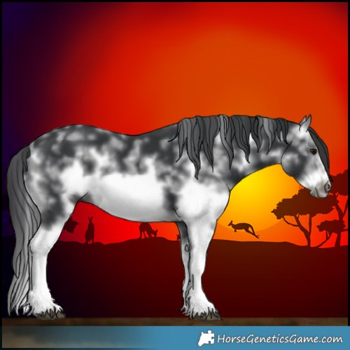 Horse Color:Black Sabino Frame 