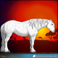 Horse Color:Black Sabino 