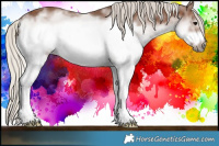 Horse Color:White Spotted Silver Black Sabino Frame 