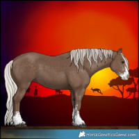 Horse Color:Silver Black Sabino