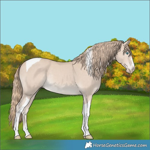 Horse Color:Smoky Creme Tobiano Rabicano 