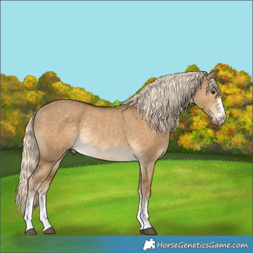 Horse Color:Chocolate Palomino Dun Rabicano 