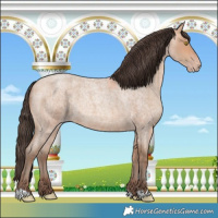 Horse Color:Amber Champagne Roan 