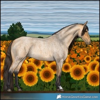 Horse Color:Buckskin Roan 