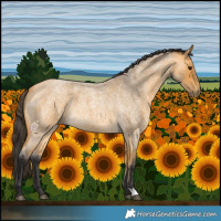 Horse Color:Buckskin Roan
