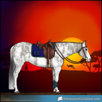 Horse Color:Grullo Sabino Rabicano 