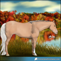 Horse Color:Silver Sable Champagne