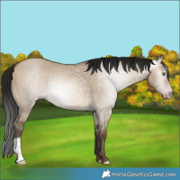 Horse Color:Gray Sable Champagne Dun 