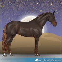 Horse Color:Liver Chestnut Rabicano