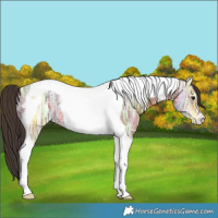 Horse Color:Bay Ice Tobiano 