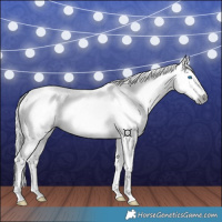 Horse Color:Gray Silver Buckskin Dun Splash