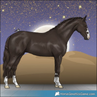 Horse Color:Liver Chestnut 