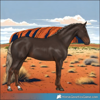 Horse Color:Liver Chestnut 