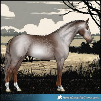 Horse Color:Gray Chestnut 