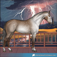 Horse Color:Gray Liver Red Dun Rabicano 