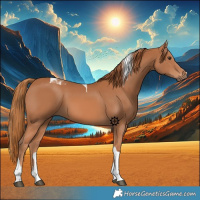 Horse Color:Chestnut Tobiano