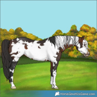Horse Color:Brown Frame 