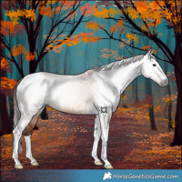 Horse Color:Gray Chocolate Bay Dun Tobiano 