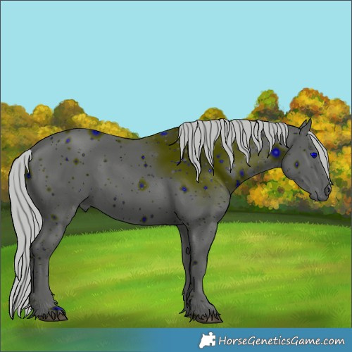 Horse Color:ERROR: UNKNOWN ANOMALY