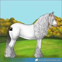 Horse Color:Bay Dun Sabino Tobiano Frame Rabicano 