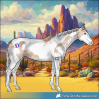 Horse Color:Silver Bay Dun Splash Tobiano 