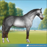 Horse Color:Gray Liver Chestnut 
