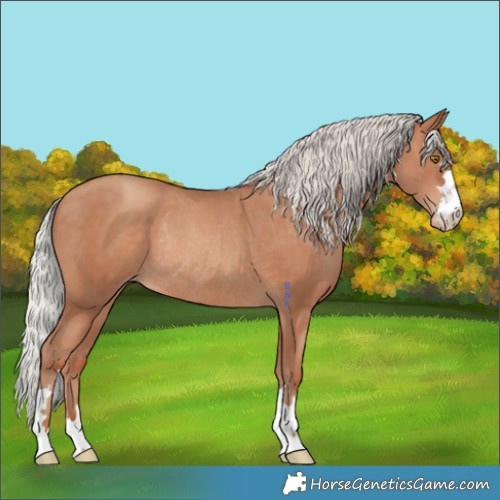 Horse Color:Silver Sable Champagne Rabicano 