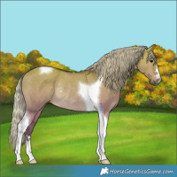 Horse Color:Silver Grullo Tobiano Rabicano 
