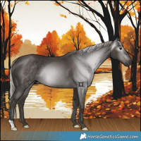 Horse Color:Gray Silver Black 