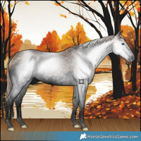 Horse Color:Gray Void Red Roan Splash