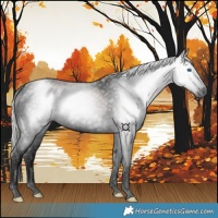 Horse Color:Gray Void Silver Black Splash Tobiano 