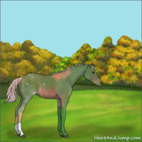 Horse Color:Watercolor Silver Brown 