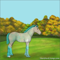 Horse Color:Watercolor Buckskin 
