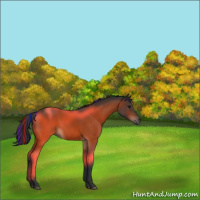 Horse Color:Painted Bay 