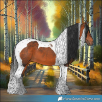 Horse Color:Bay Tobiano 