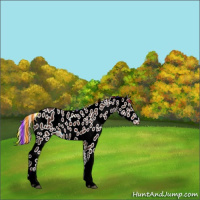 Horse Color:Painted Silver Brown Appaloosa 