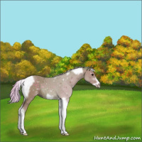 Horse Color:Watercolor Silver Black Tobiano Frame 
