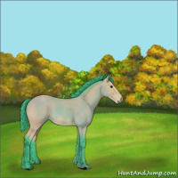 Horse Color:Watercolor Buckskin 