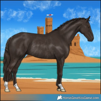 Horse Color:Liver Chestnut Rabicano 