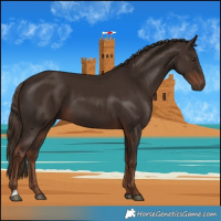 Horse Color:Liver Chestnut 