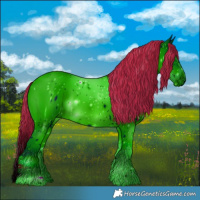 Horse Color:ERROR: UNKNOWN ANOMALY